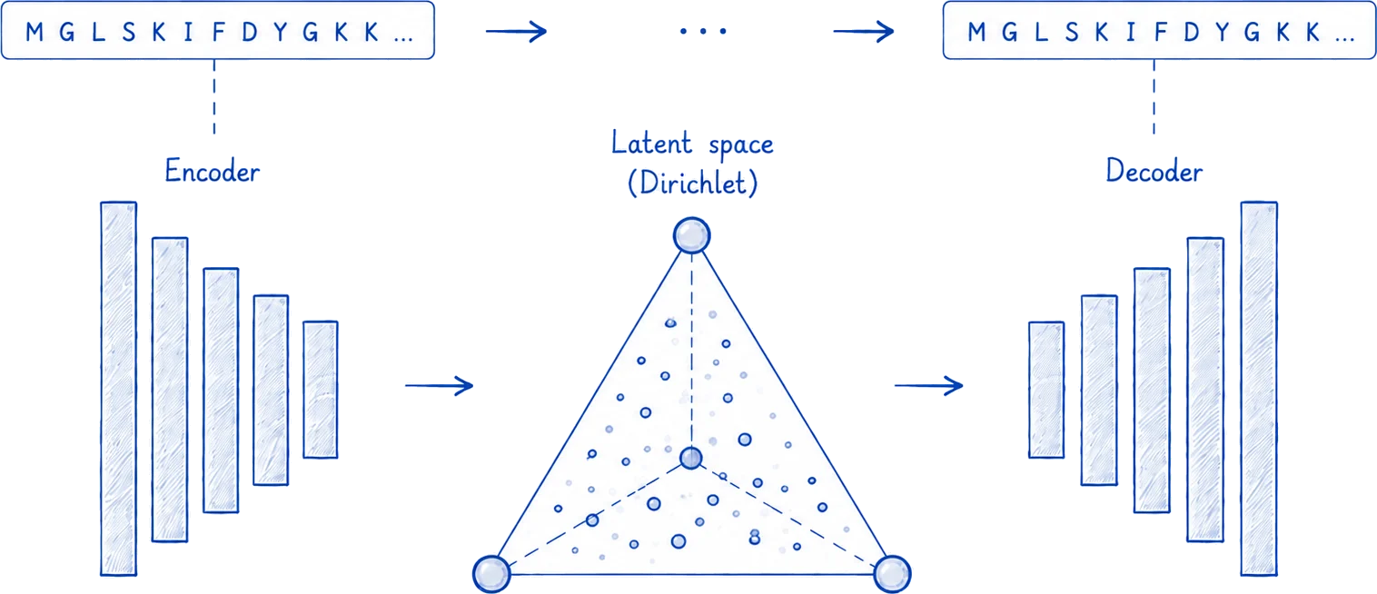 A variational autoencoder. An amino acid sequence passes through an encoder into a Dirichlet latent space, drawn as a triangle scattered with points, and a decoder reconstructs a sequence from it.