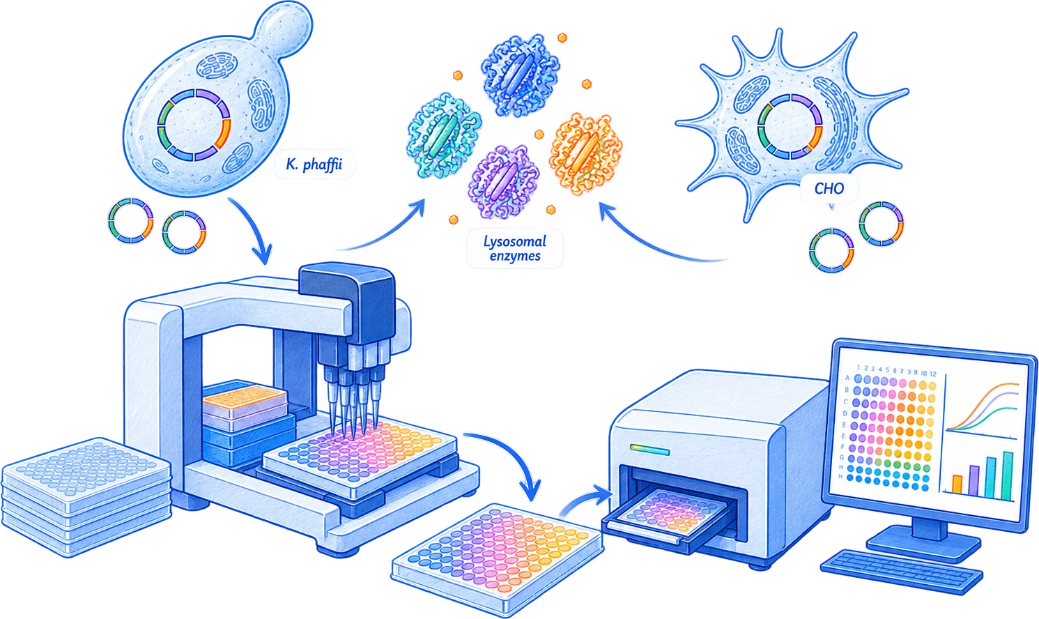 An automated workflow: Komagataella phaffii and Chinese hamster ovary cells expressing lysosomal enzymes, a liquid-handling robot filling microplates, a plate reader, and a screen showing the resulting assay data.